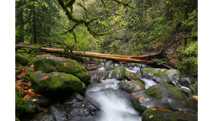 Picture of flowing water